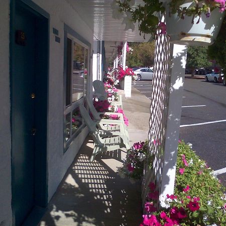 Appletree Inn Radium Hot Springs Esterno foto