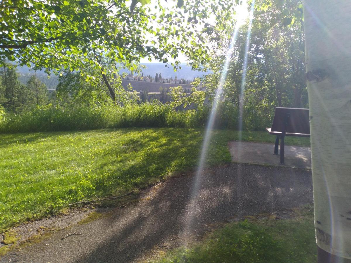 Appletree Inn Radium Hot Springs Esterno foto