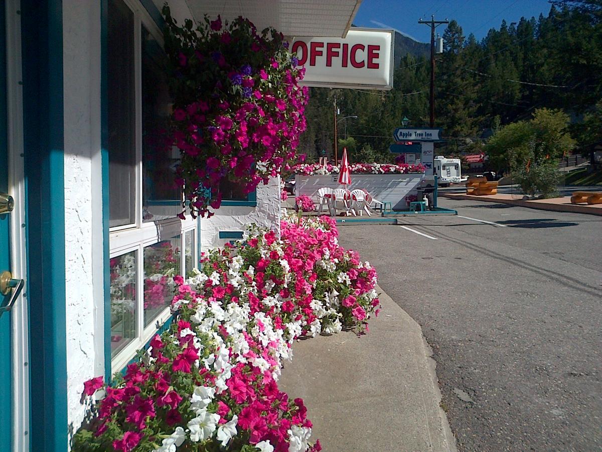 Appletree Inn Radium Hot Springs Esterno foto