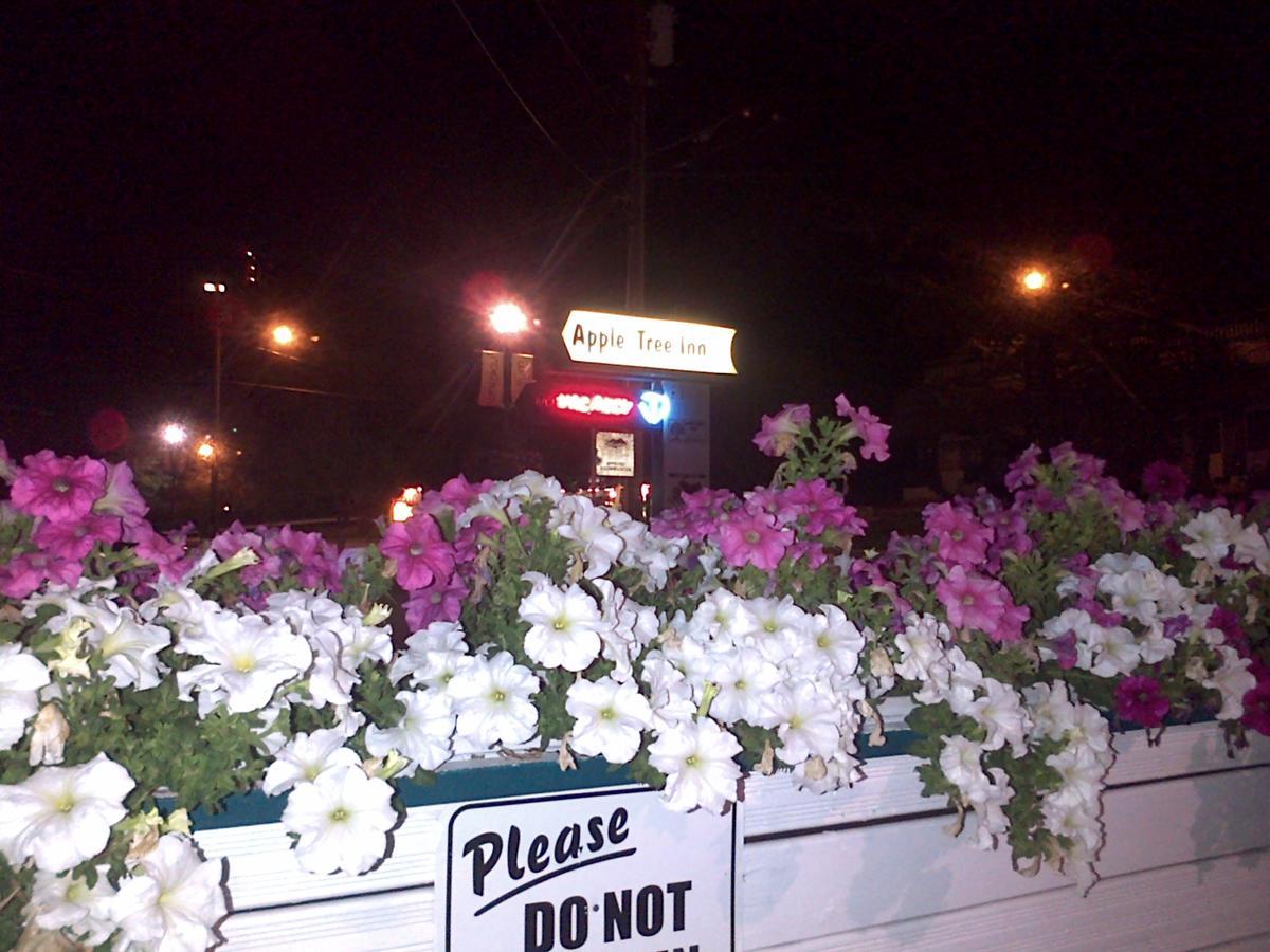 Appletree Inn Radium Hot Springs Esterno foto